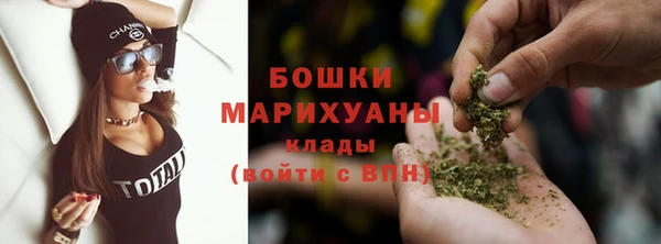 молекула духа Покачи