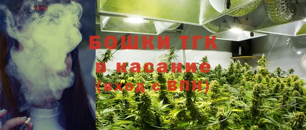 мяу мяу кристалл Ельня