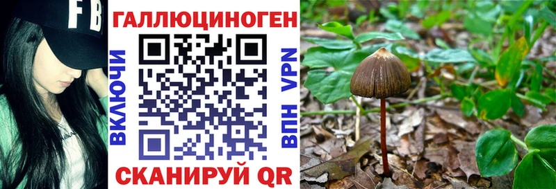 магазин продажи Сельцо Галлюциногенные грибы GOLDEN TEACHER