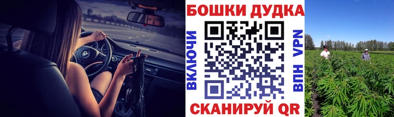 Конопля SATIVA & INDICA  купить   Сельцо 